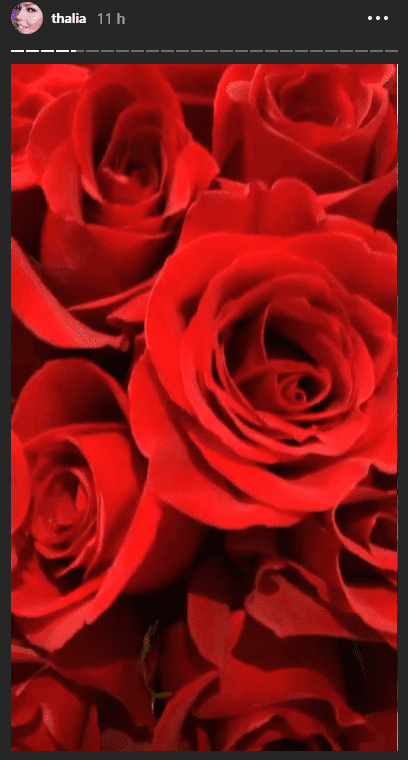 Thalía compartió una foto de su ramo de rosas. | Foto: https://www.instagram.com/stories/thalia/ Thalía compartió una foto de su ramo de rosas. | Foto: https://www.instagram.com/stories/thalia/