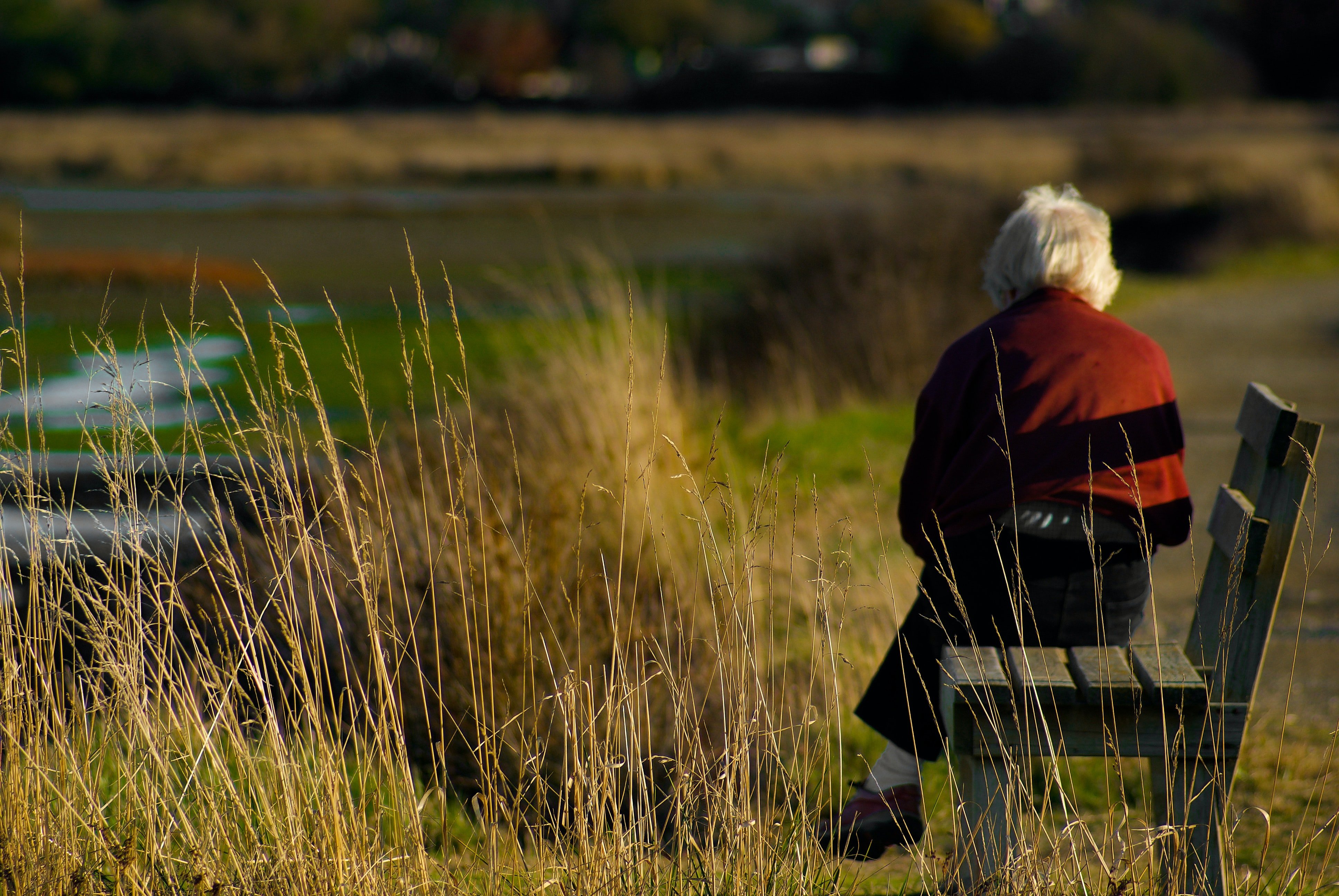 Redditors claimed that the woman's children should've been around & noticed she had dementia. | Source: Unsplash