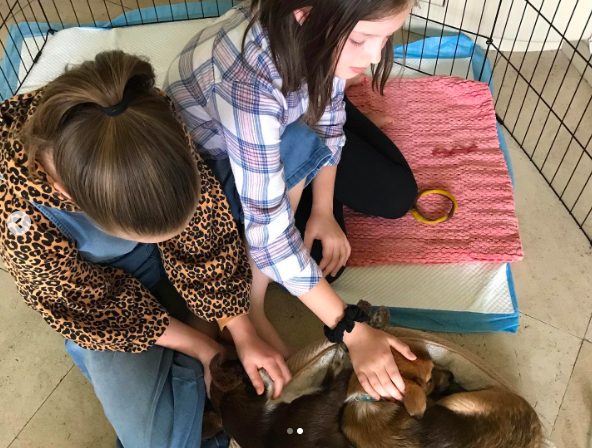 Harper and Finley Lockwood playing with puppies posted on March 24, 2020 | Source: Instagram/lisampresley