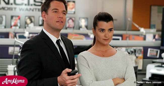 Former 'NCIS' stars Michael Weatherly and Cote de Pablo team up to work on new project