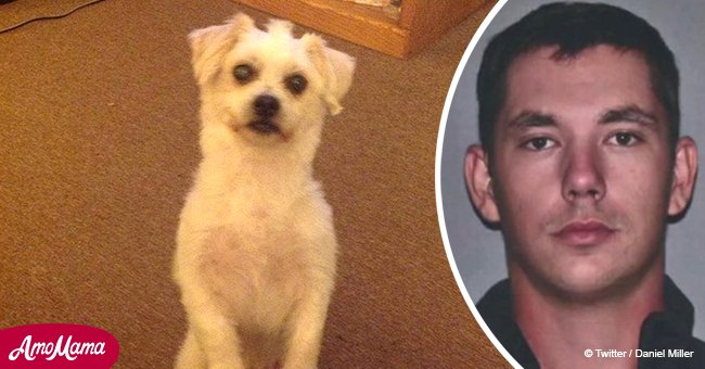 Man allegedly buried ex-girlfriend’s dog alive – said her dog wasn't getting along with his cat