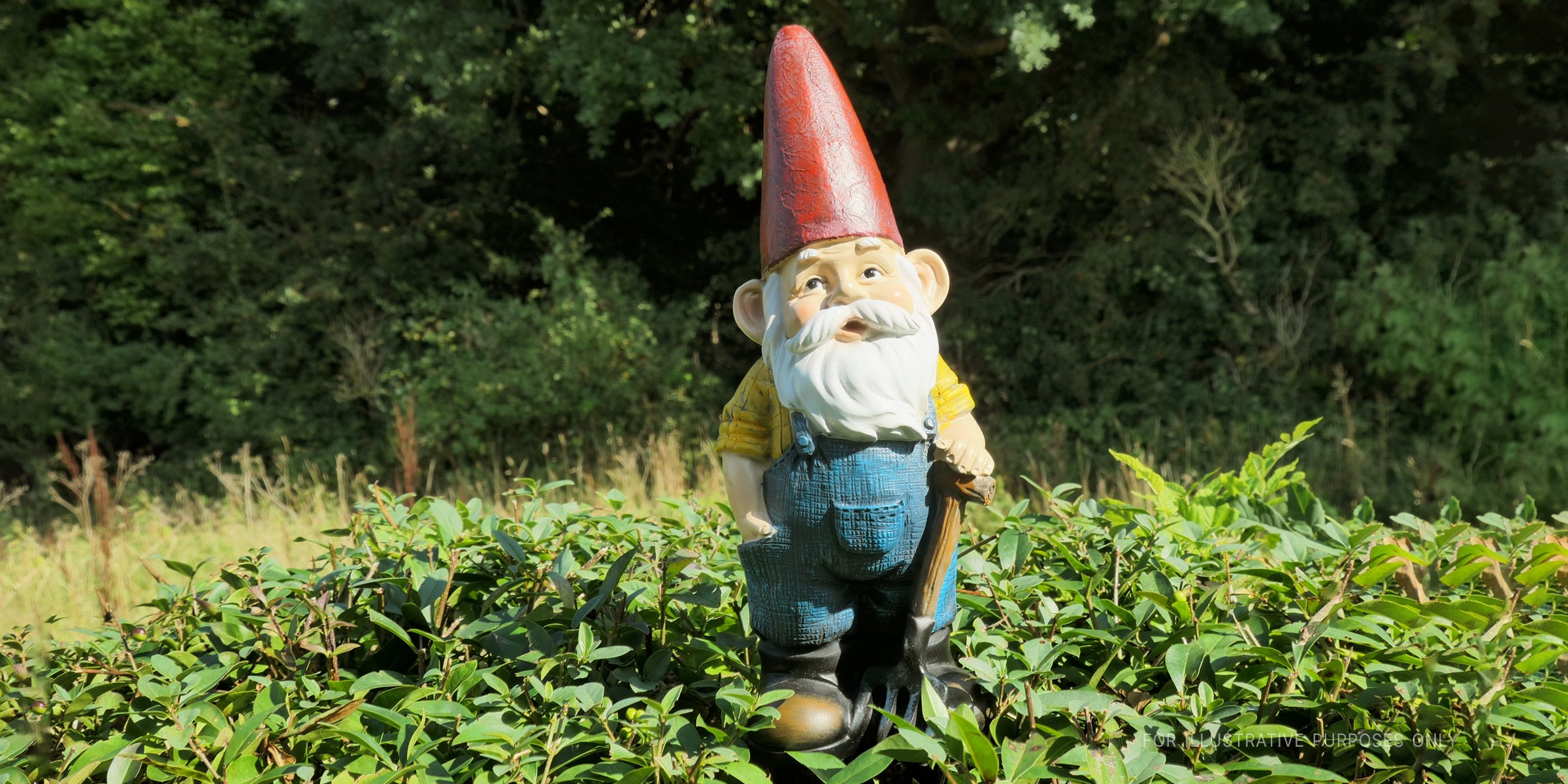 A Garden Gnome. | Source: Shutterstock