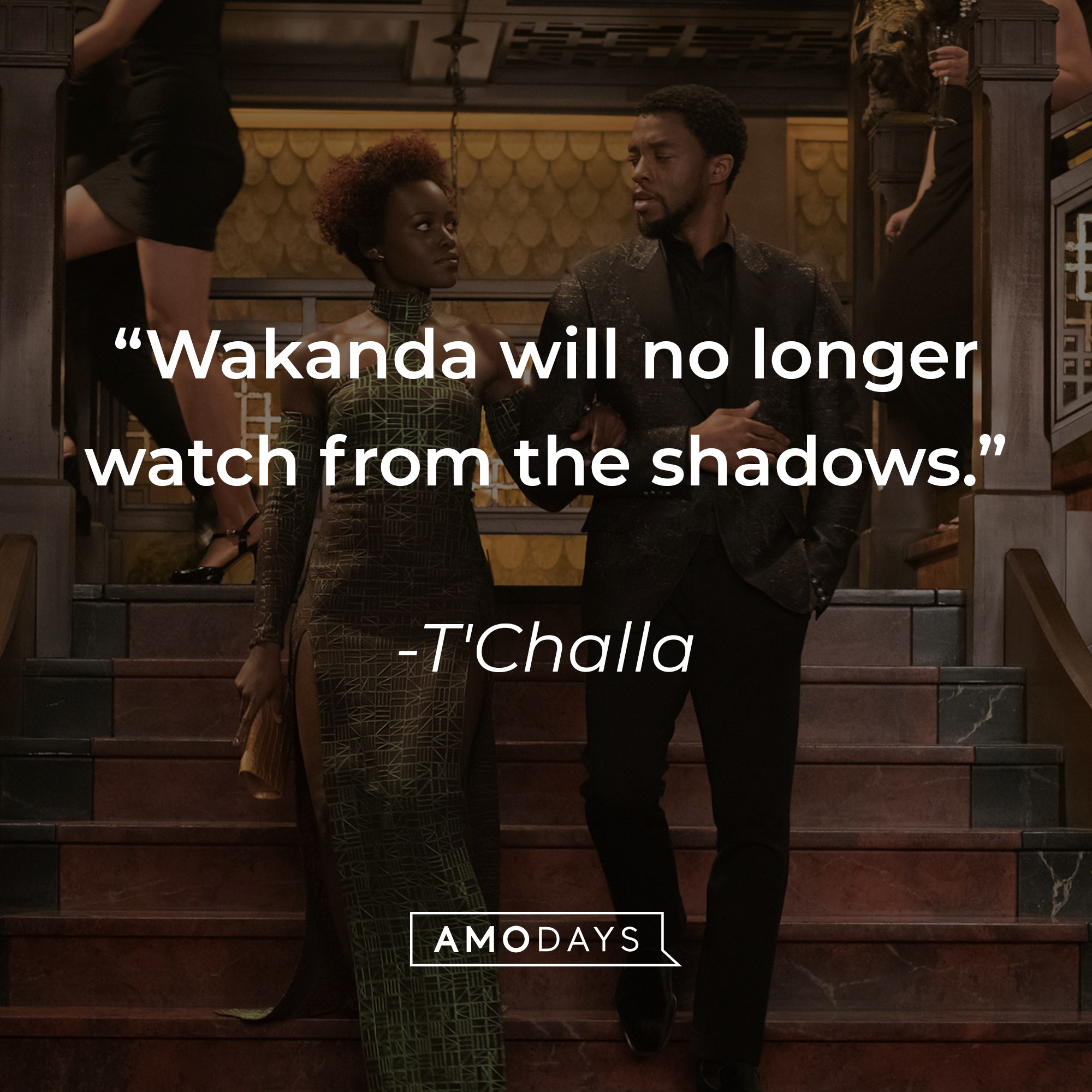 T'Challa's quote: “Wakanda will no longer watch from the shadows.” | Source: facebook.com/BlackPantherMovie