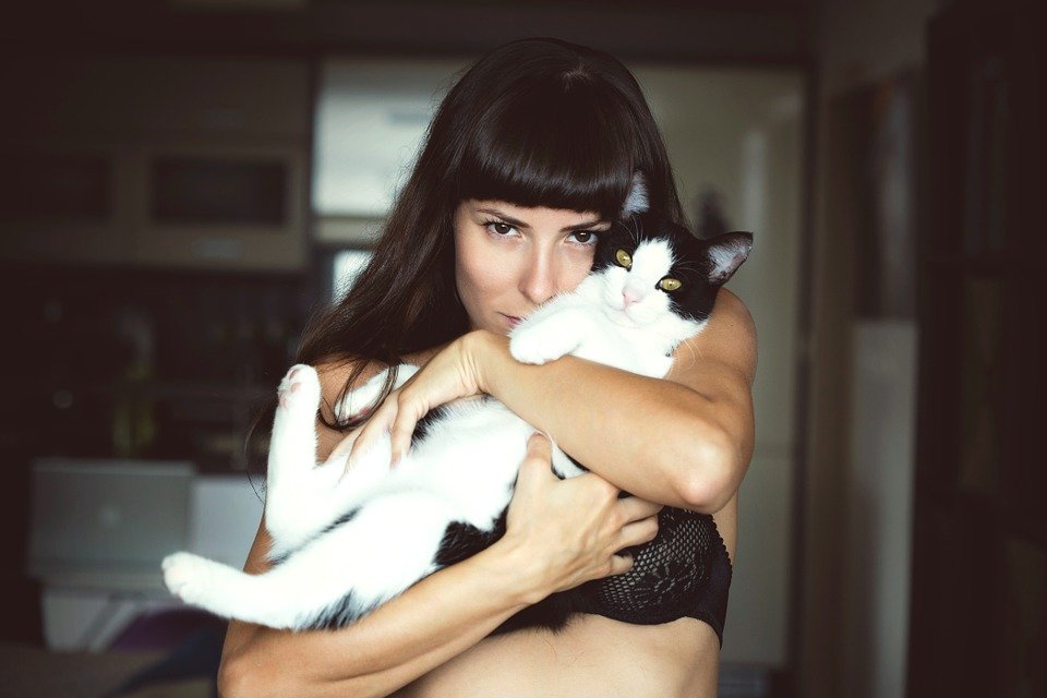 Mujer sosteniendo a su gato en los brazos. | Foto: Pixabay