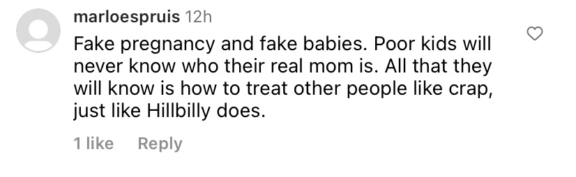 A negative comment calling Hilary Swank's pregnancy "fake" on the photo showcasing her twins posted on April 10 2023 | Source: instagram.com/@hilaryswank