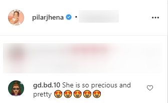 A screenshot of a fan's comment on Porsha Williams' post on her Instagram page | Photo: instagram.com/porsha4real/