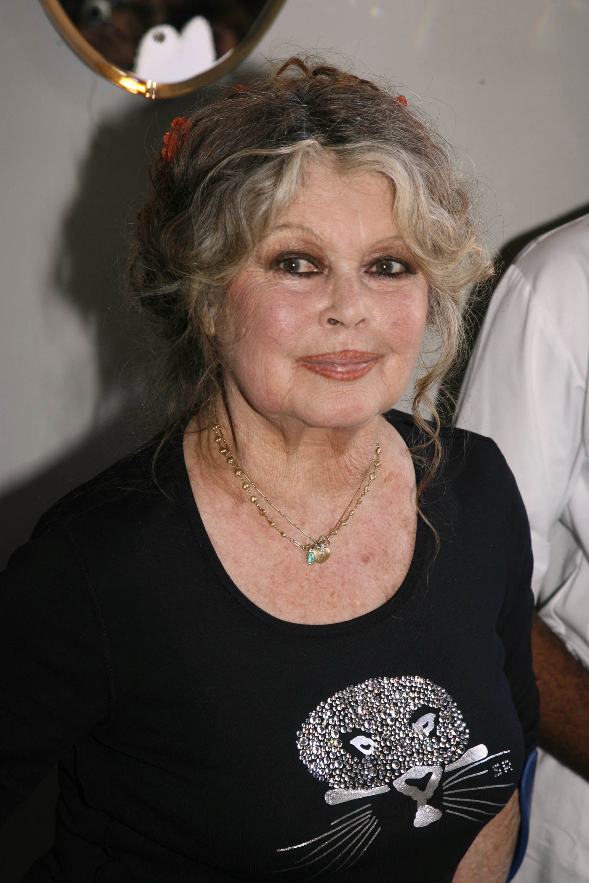 Brigitte Bardot at The Brigitte Bardot Foundation's anniversary party on September 28, 2006, in Paris, France. | Source: Getty Images