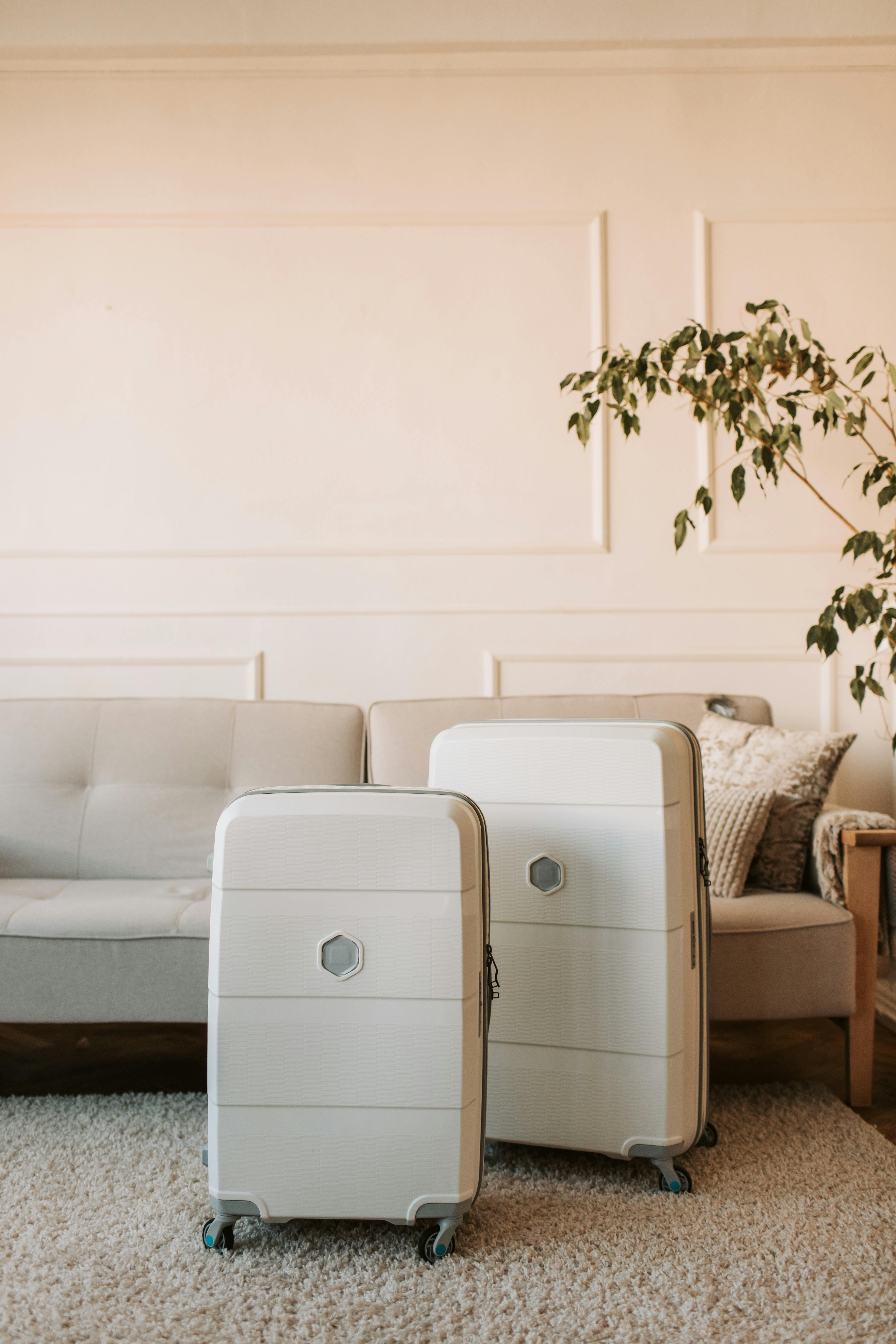 Two suitcases beside a plant | Source: Pexels