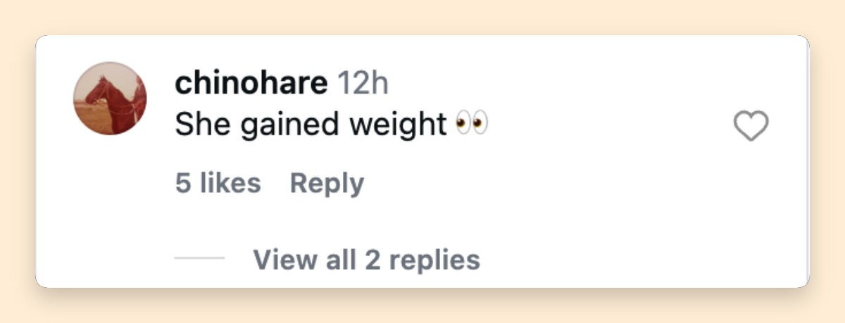 A fan comments on Heidi Klum's appearance at the 79th Cannes Film Festival on May 12, 2026 | Source: Instagram/entertainmenttonight