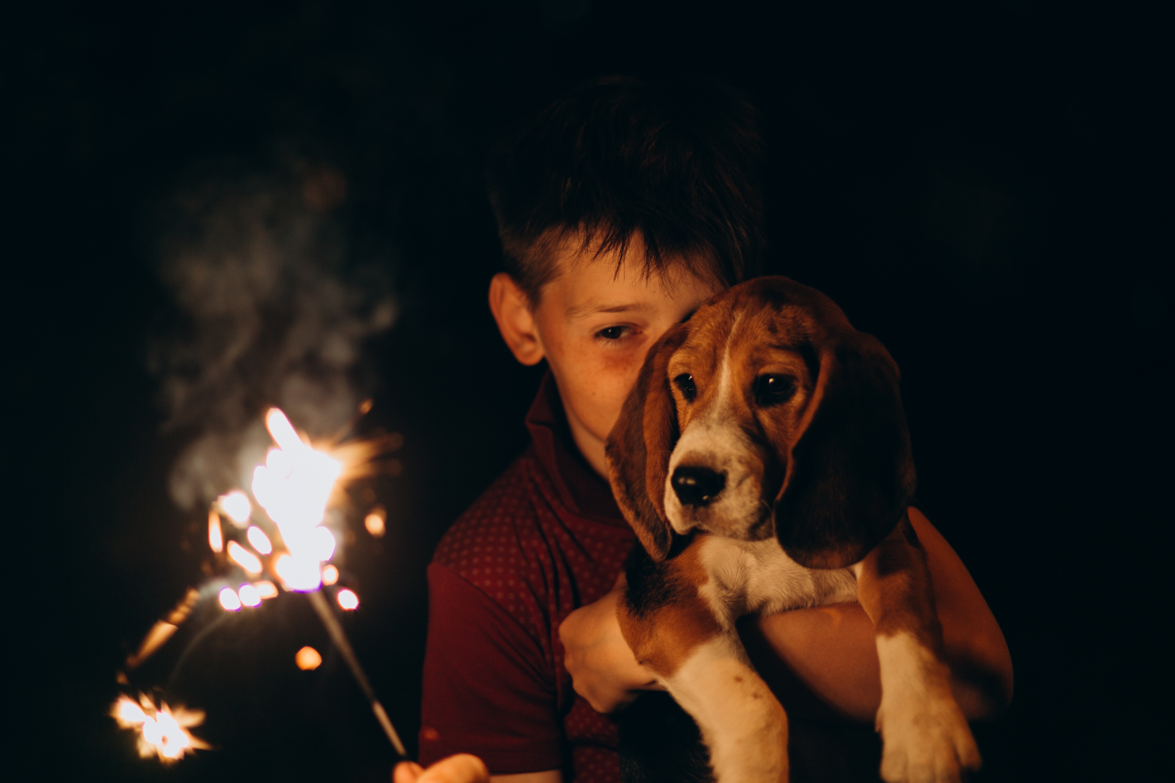 Boy holds dog in darkness | Source: Shutterstock.com