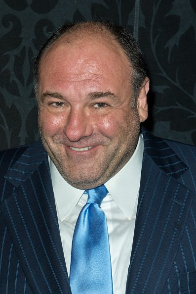 James Gandolfini at the 8th Annual Stella By Starlight Benefit Gala on June 10, 2013 in New York, United States. | Photo: Getty Images