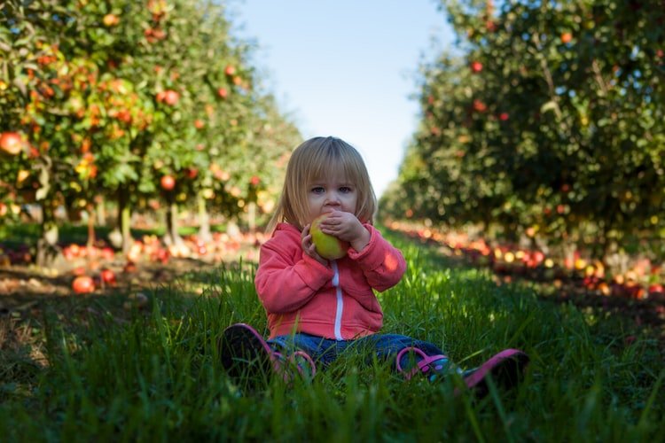 Une petite fille. | Photo : Unsplash