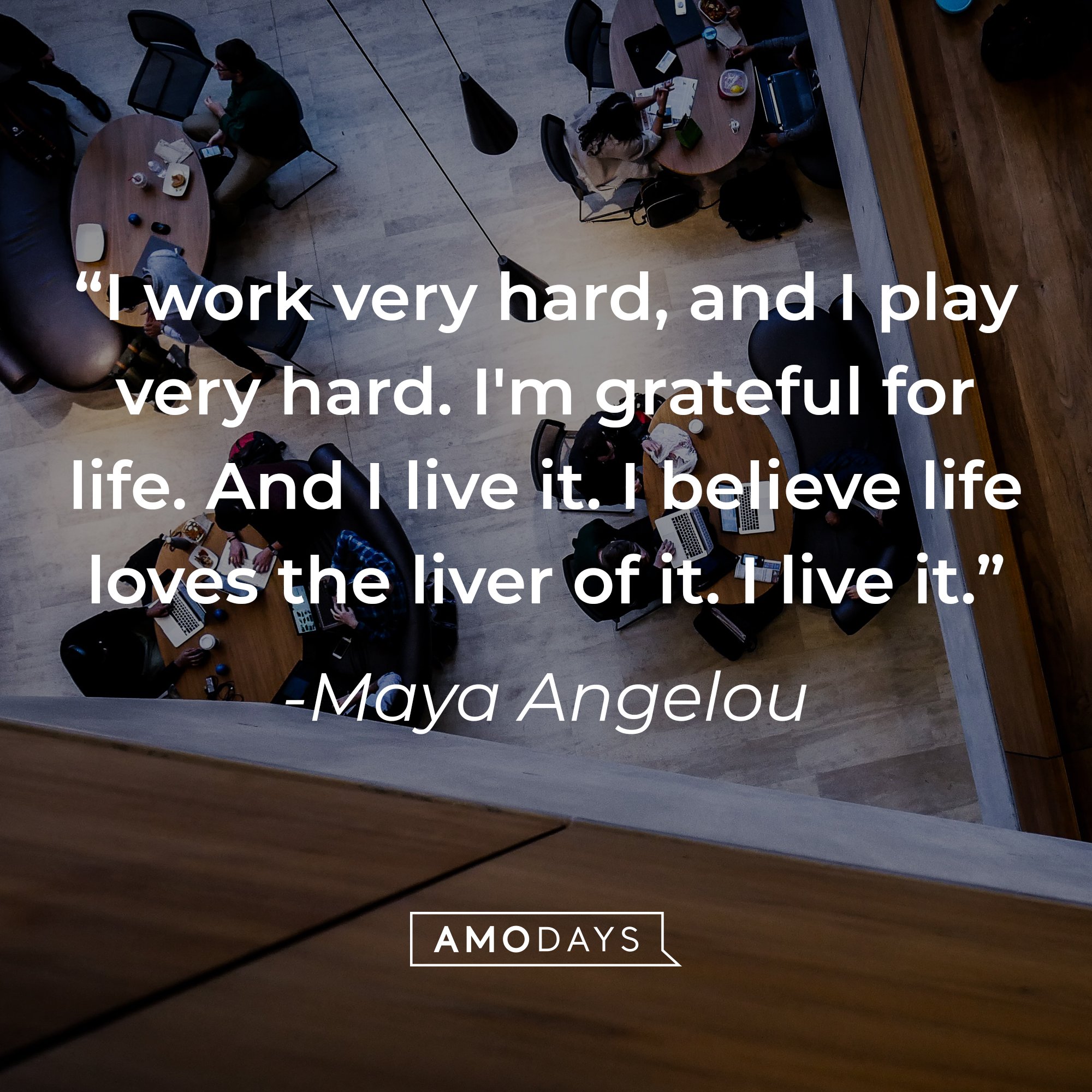 Maya Angelou's quote: "I work very hard, and I play very hard. I'm grateful for life. And I live it. I believe life loves the liver of it. I live it." | Image: AmoDays