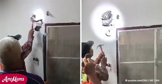 Family breaks wall to discover what the terrifying noise inside it is about