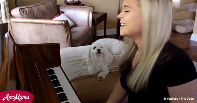 Dog sings along while owner plays piano