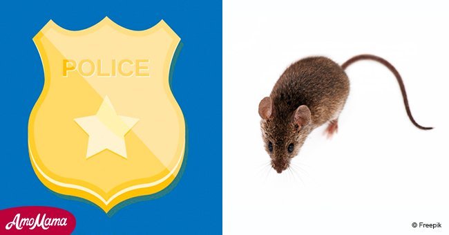 Police fired after claiming mice ate half a ton of missing weed