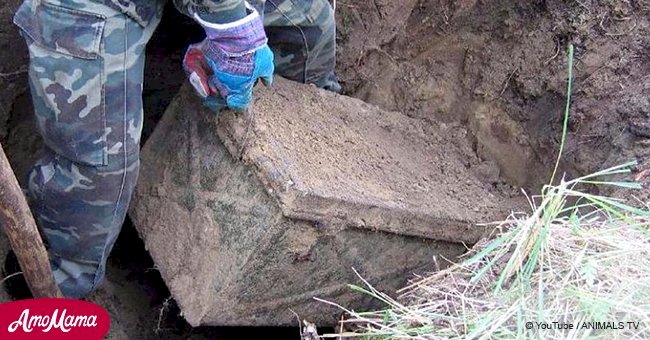 Man finds a treasure chest buried in his backyard and decides to open the mysterious box