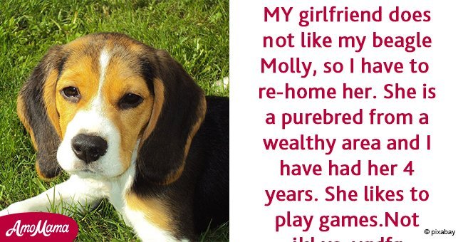 Girlfriend tells boyfriend to choose between her and dog - his reply makes Internet applaud