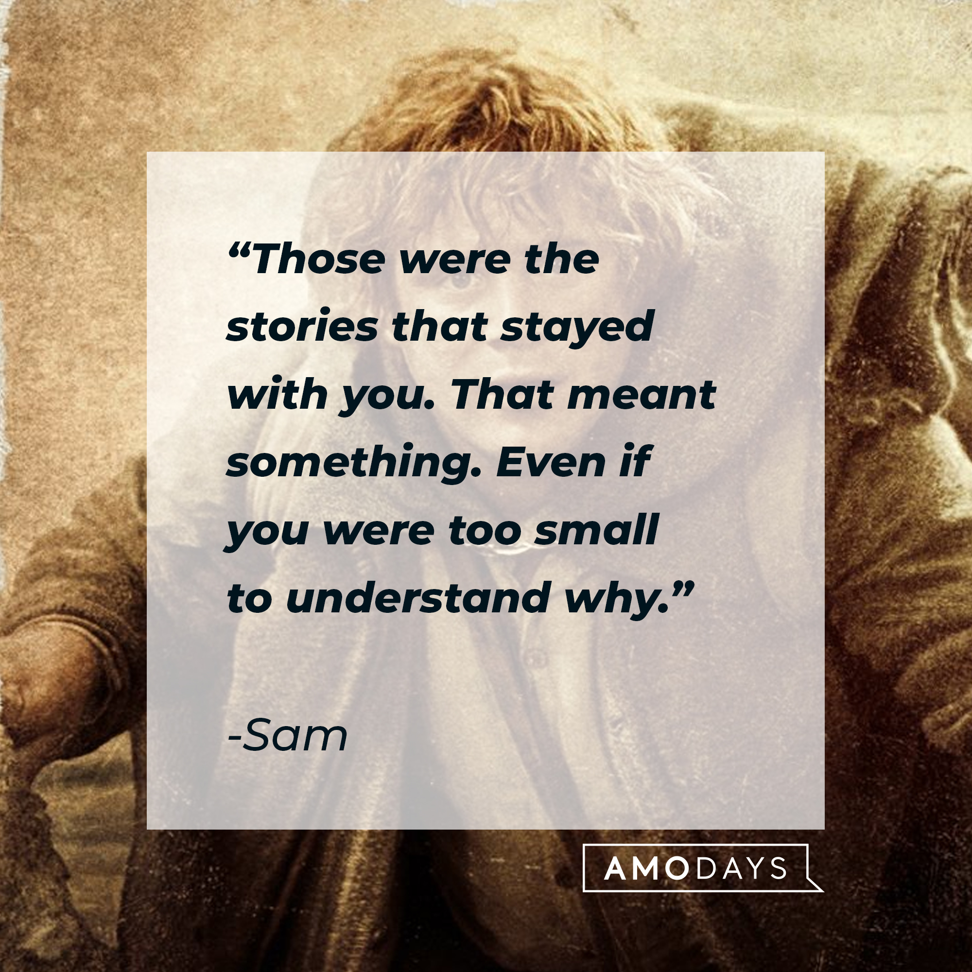 Sam's quote: "Those were the stories that stayed with you. That meant something. Even if you were too small to understand why." | Source: facebook.com/lordoftheringstrilogy