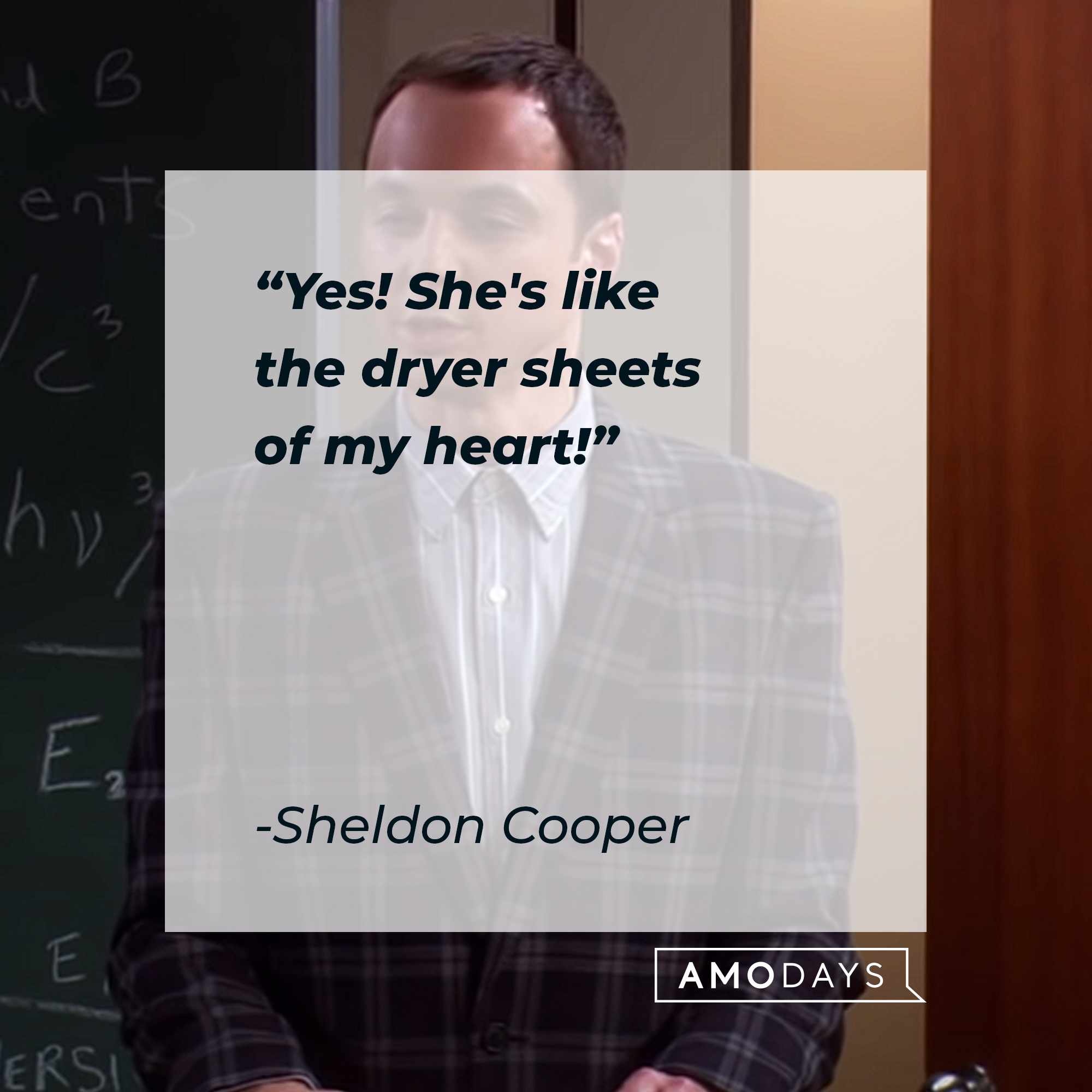 Sheldon Cooper's quote: "Yes! She's like the dryer sheets of my heart!" | Source: youtube.com/warnerbrostv