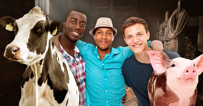Three men were traveling together on a bus tour to explore the beautiful countryside. | Photo: Shutterstock