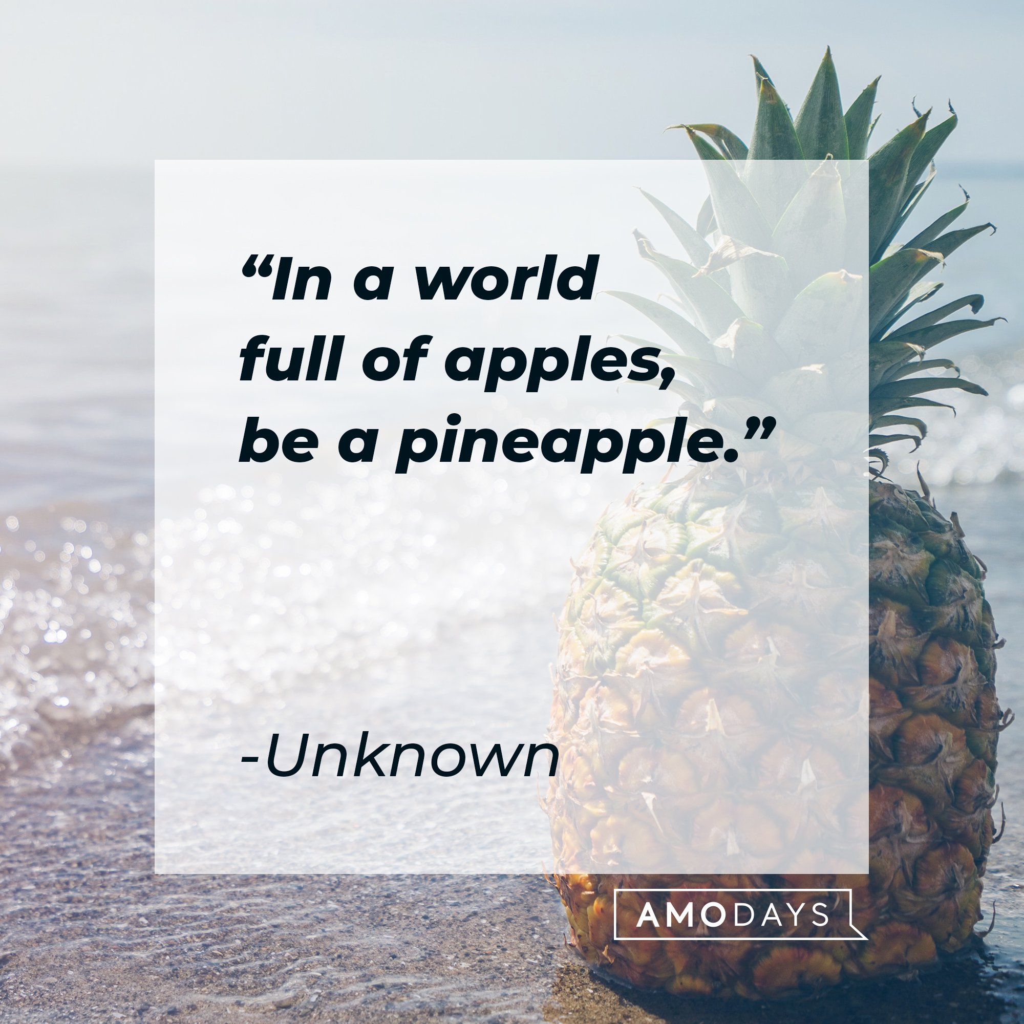 A quote from an unknown source: "In a world full of apples, be a pineapple." | Image: AmoDays