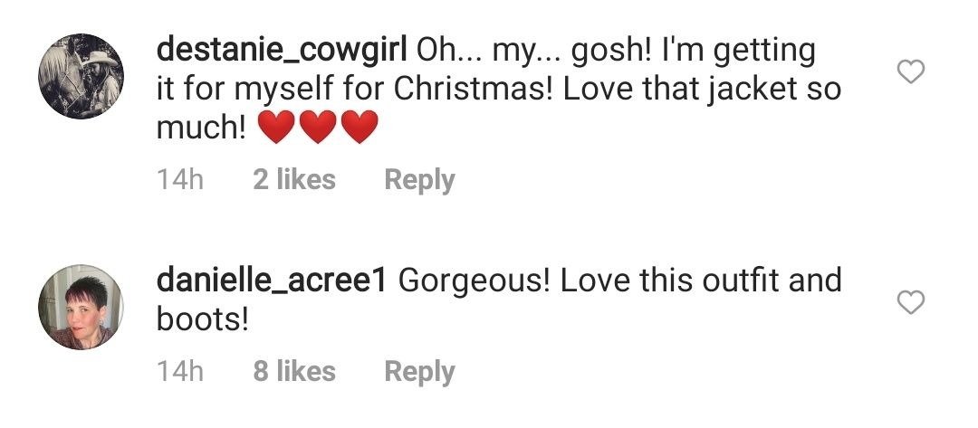 Screenshot of comments from Reba McEntire's Instagram post. | Photo: Instagram/@reba