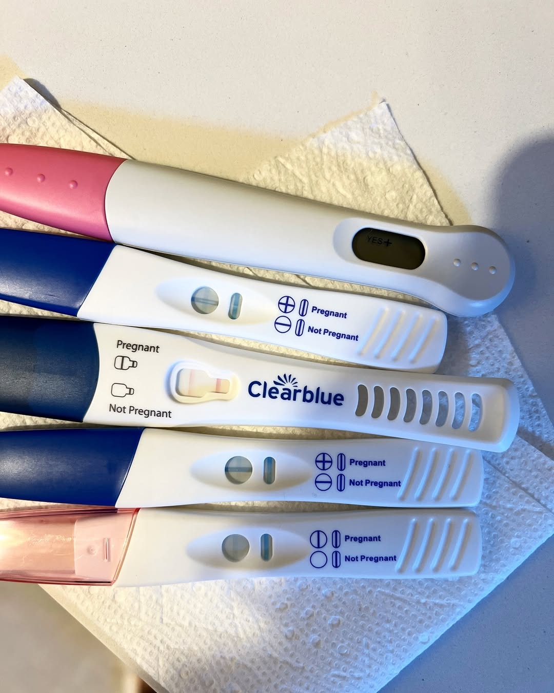 Hailie Jade Scott's pregnancy tests posted on November 27, 2024 | Source: Instagram/hailiejade