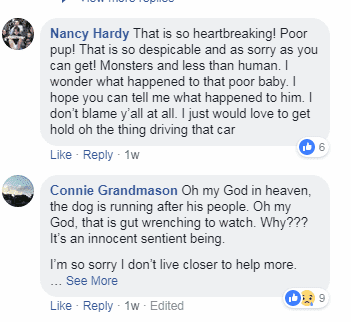 Comments under the gut wrenching video | Facebook