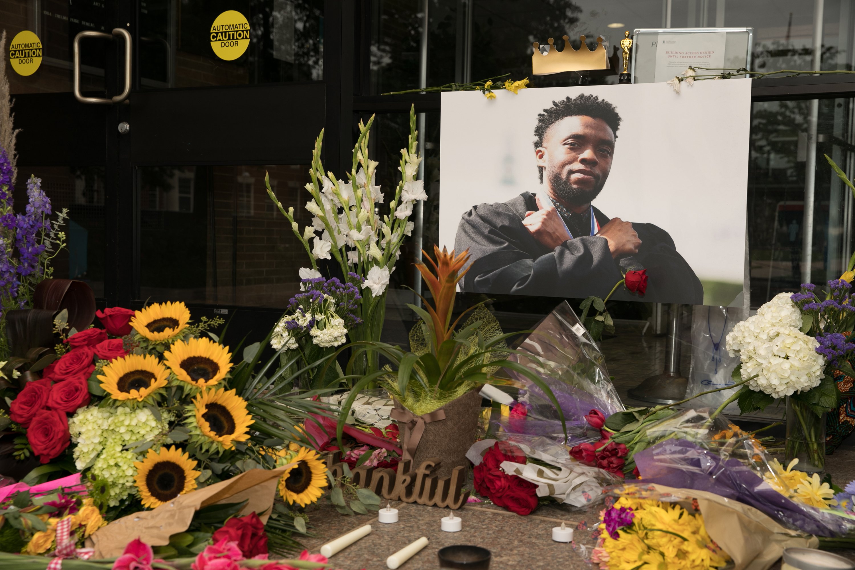 Ein Ausblick auf Chadwick Bosemans Denkmal an der Howard University am 31. August 2020 in Washington, DC | Quelle: Getty Images