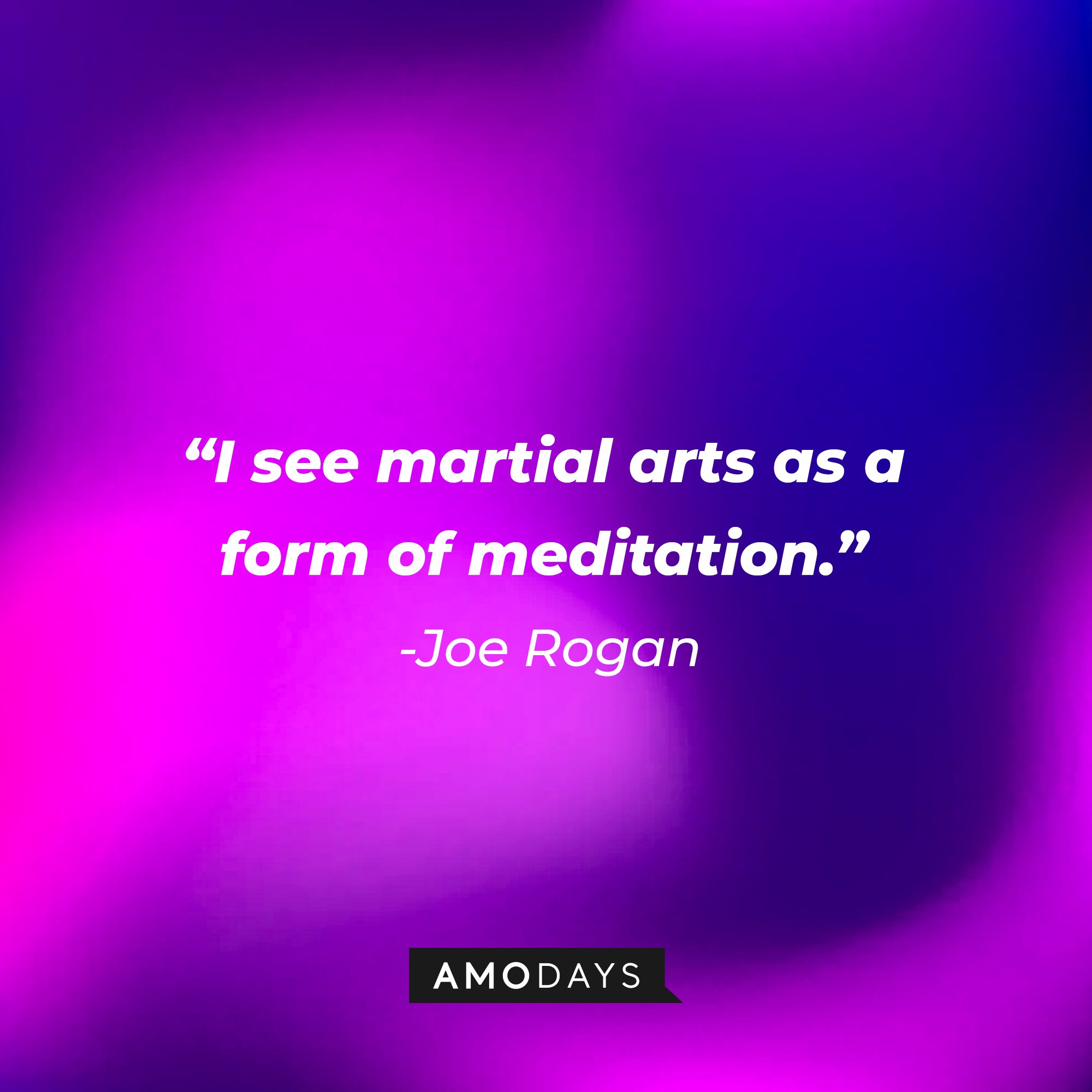  Joe Rogan's quote: "I see martial arts as a form of meditation." | Image: AmoDays