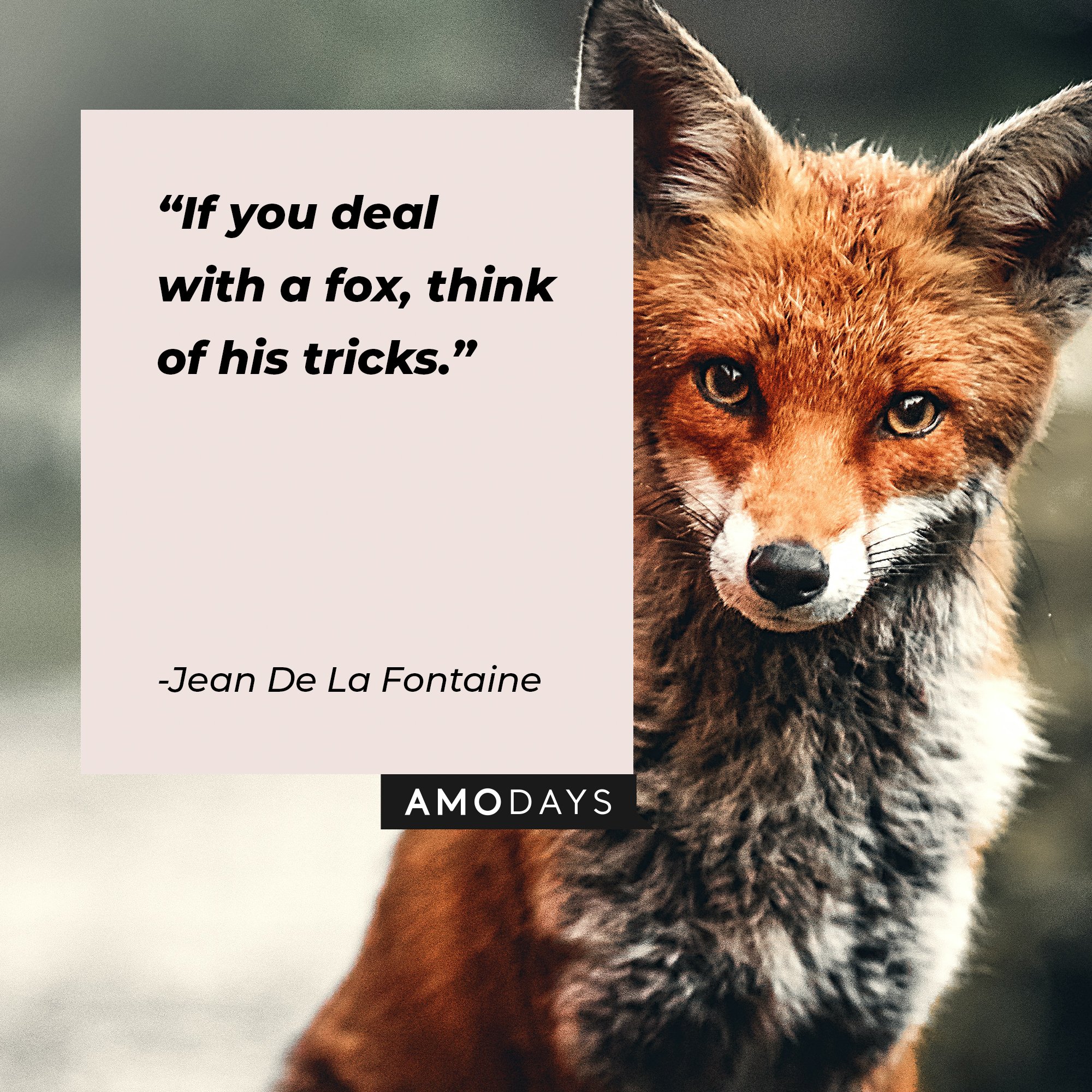 Jean De La Fontaine’s quote: "If you deal with a fox, think of his tricks."   | Image: AmoDays