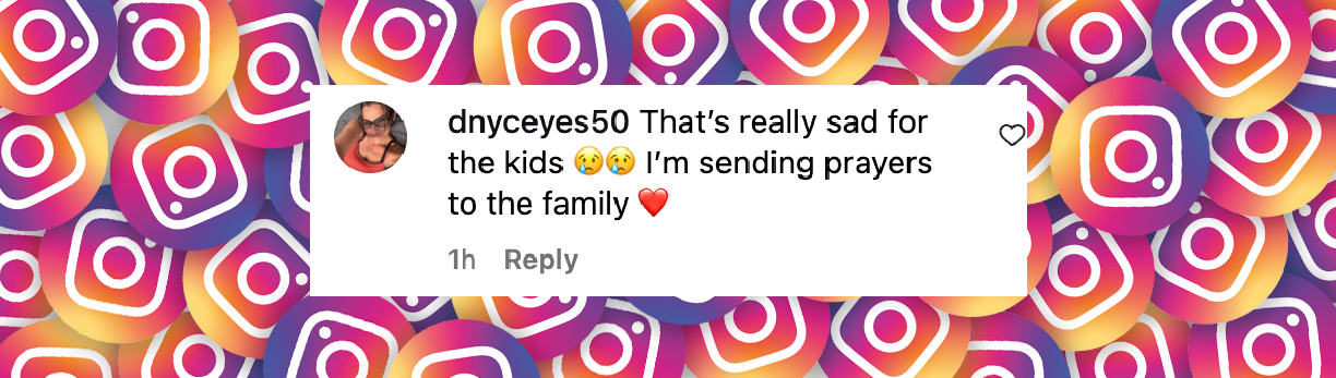 A fan comment dated August 7, 2025 | Source: Instagram/enews