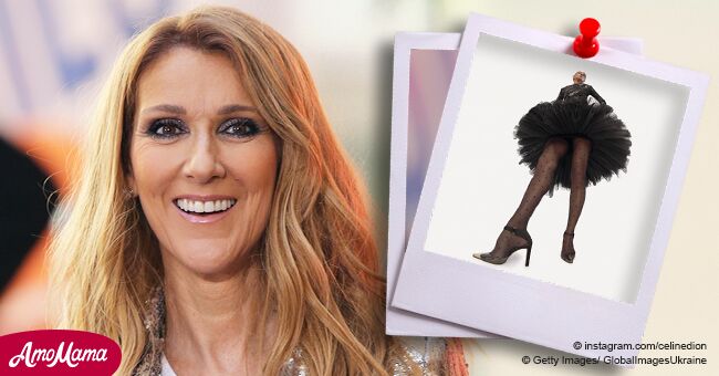 celine dion perruque