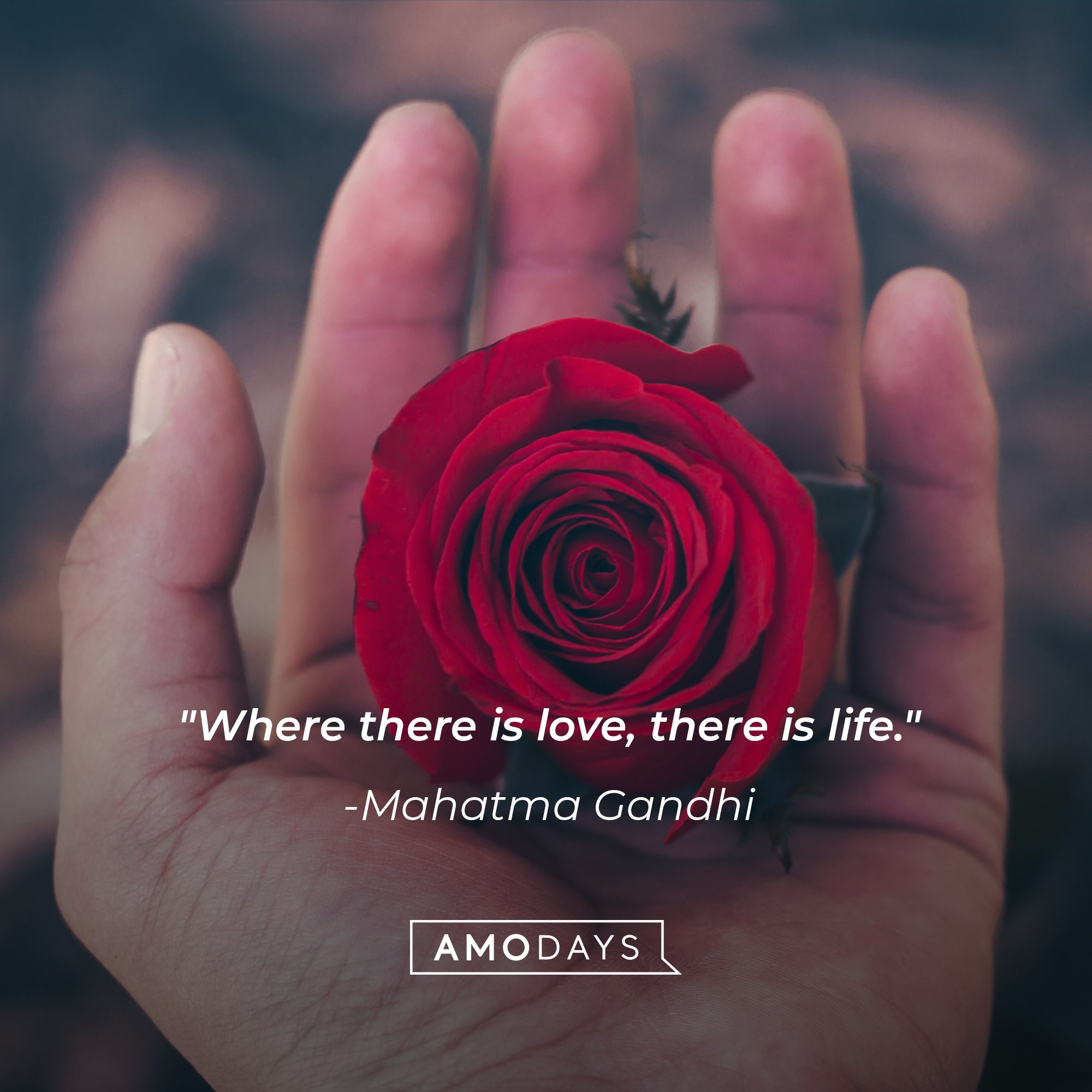 Mahatma Gandhi’s quote: "Where there is love, there is life." | Image: AmoDays
