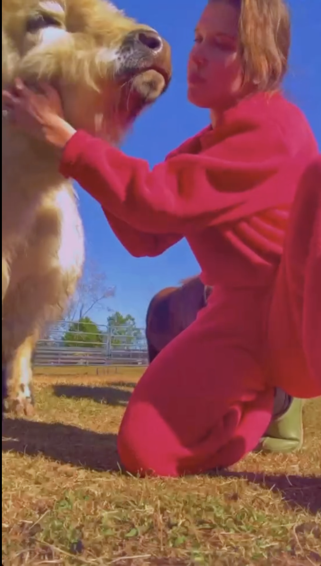 Millie Bobby Brown Bongiovi with one of her farm animals from a post dated December 8, 2024. | Source: Instagram/milliebobbybrown