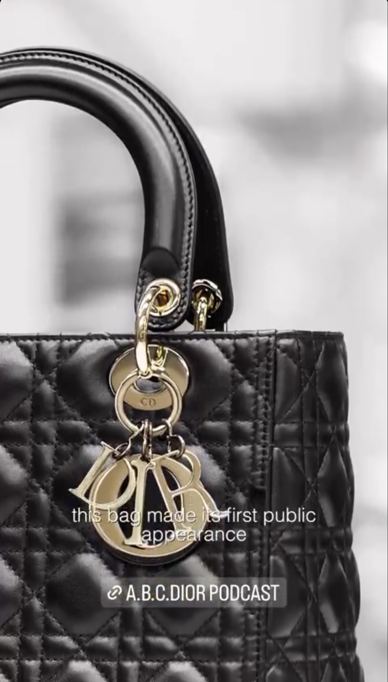 Lady Dior bag on Dior's Instagram story | Source: Instagram/Dior