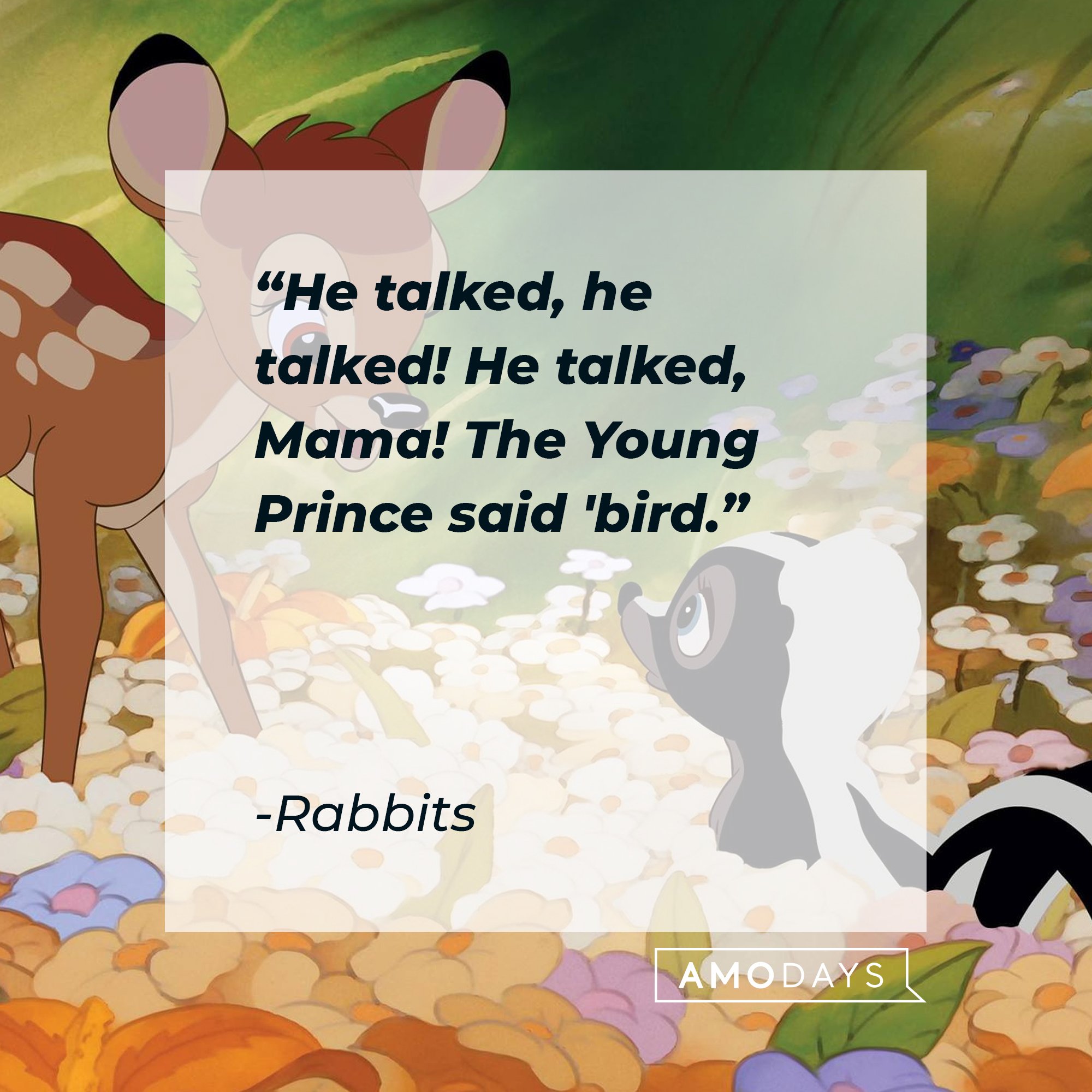 Rabbits's quote "He talked, he talked! He talked, Mama! The Young Prince said 'bird.'" | Source: facebook.com/DisneyBambi