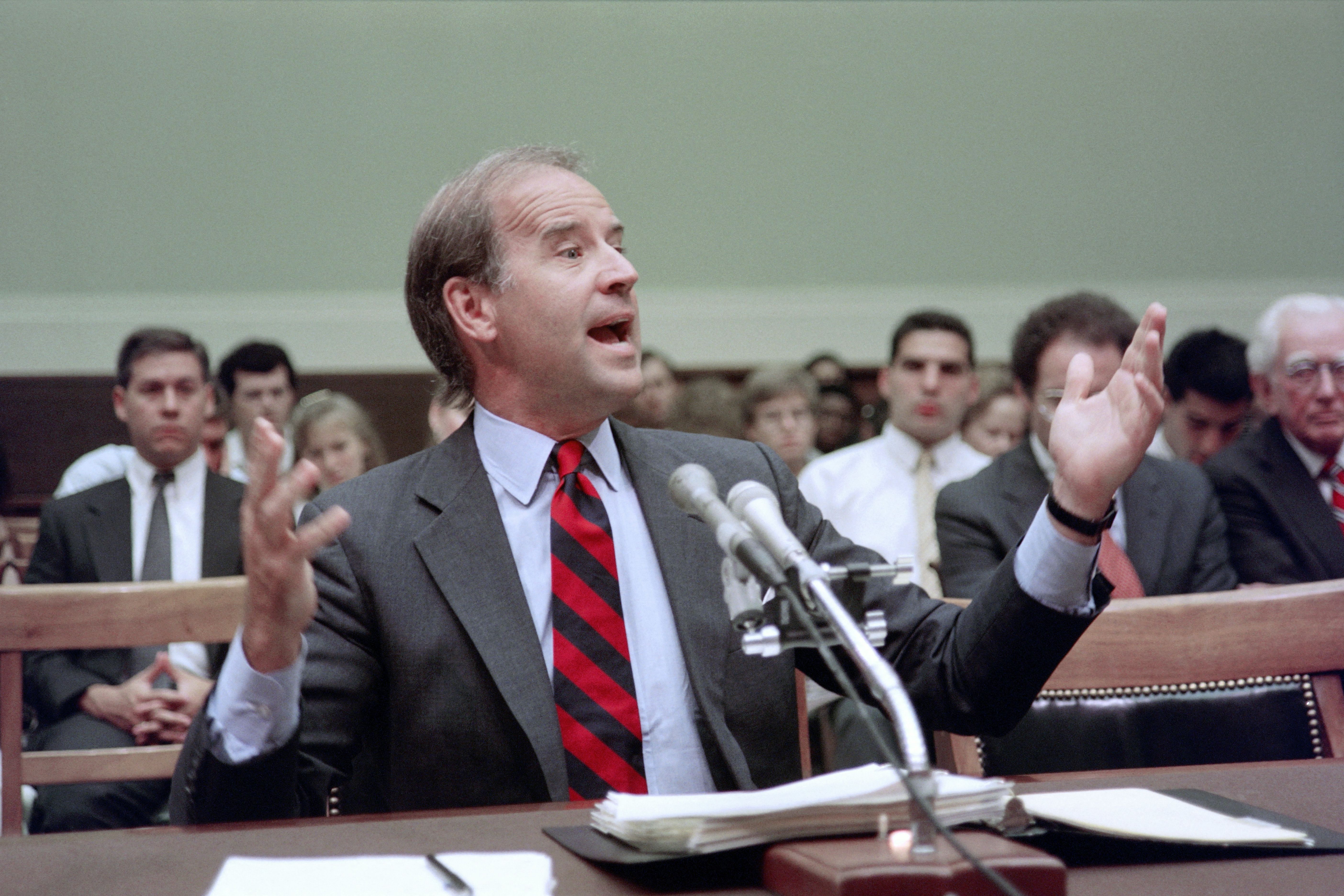 Jose Biden, speaks on July 13, 1989 before a House of Representatives panel | Source: Getty Images