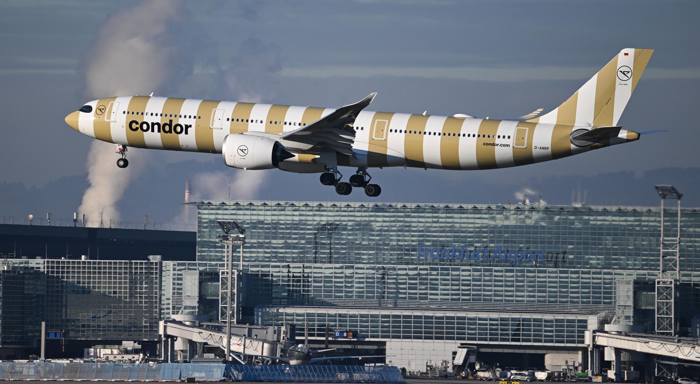 A gold and white striped Condor Airbus A330-941 lands at Frankfurt Airport on January 14, 2025 | Source: Getty Images