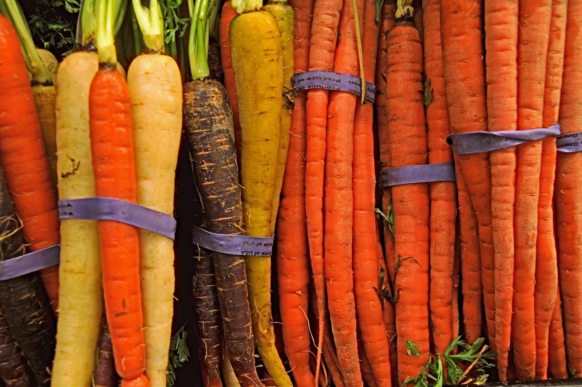 Atados de zanahorias. | Foto: Pixabay