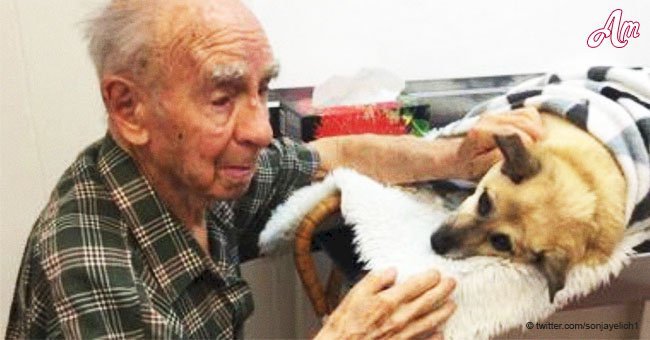 95-year-old man is forced to say a heartbreaking goodbye to the only companion he had left