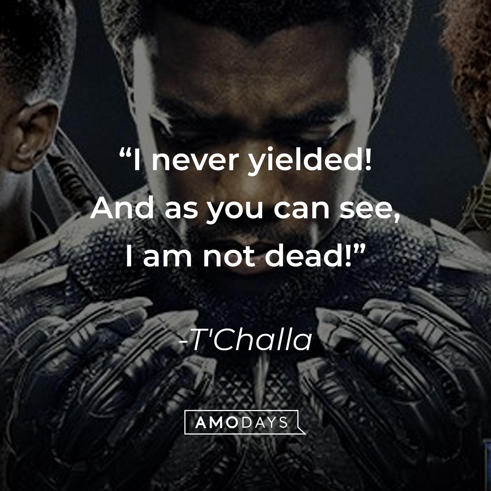 T'Challa's quote: “I never yielded! And as you can see, I am not dead!” | Source: facebook.com/BlackPantherMovie