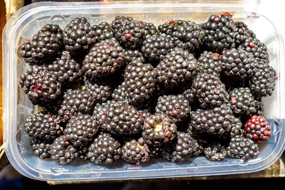 Blackberries in a plastic container | Photo: Shutterstock