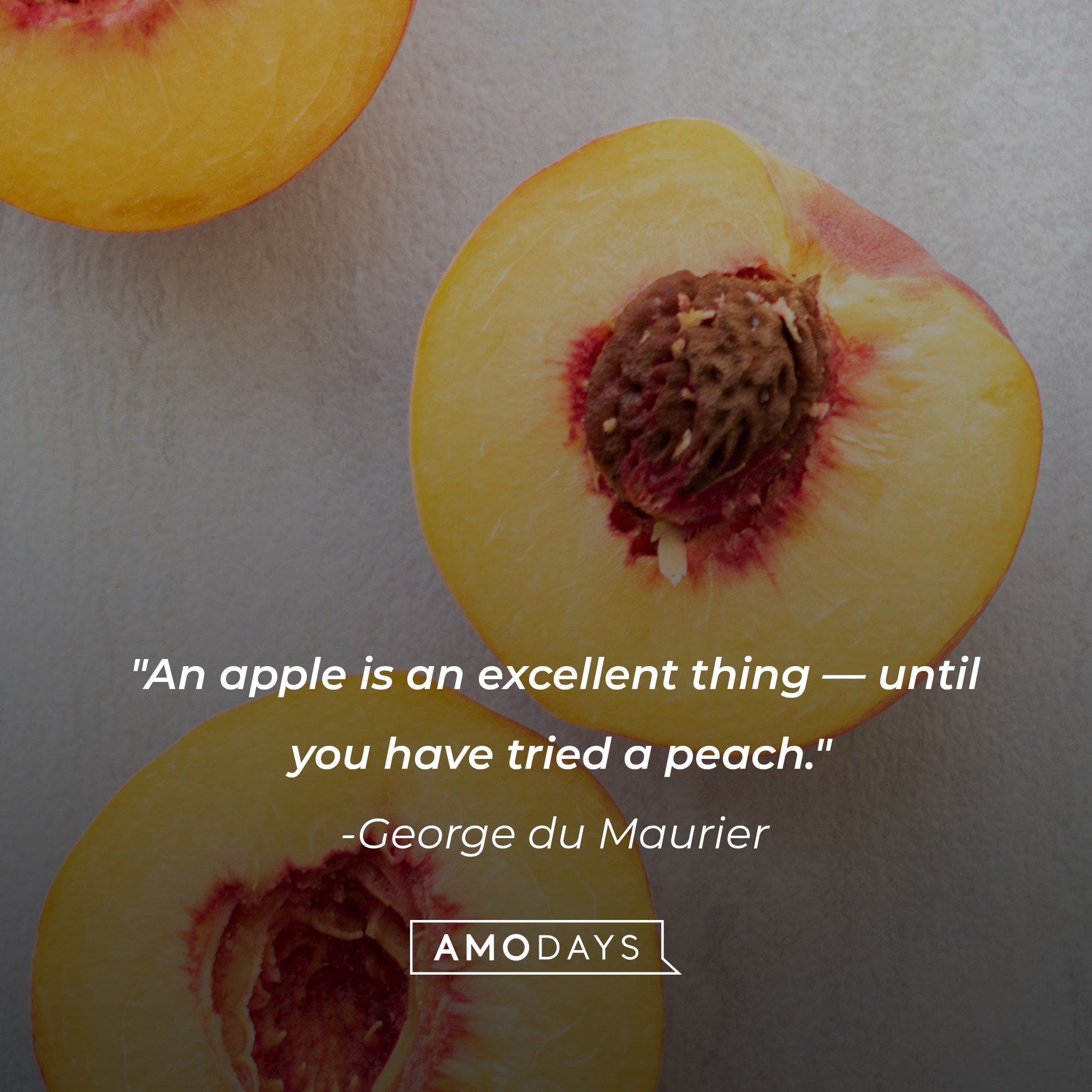 George du Maurier's quote: "An apple is an excellent thing — until you have tried a peach." | Image: AmoDays
