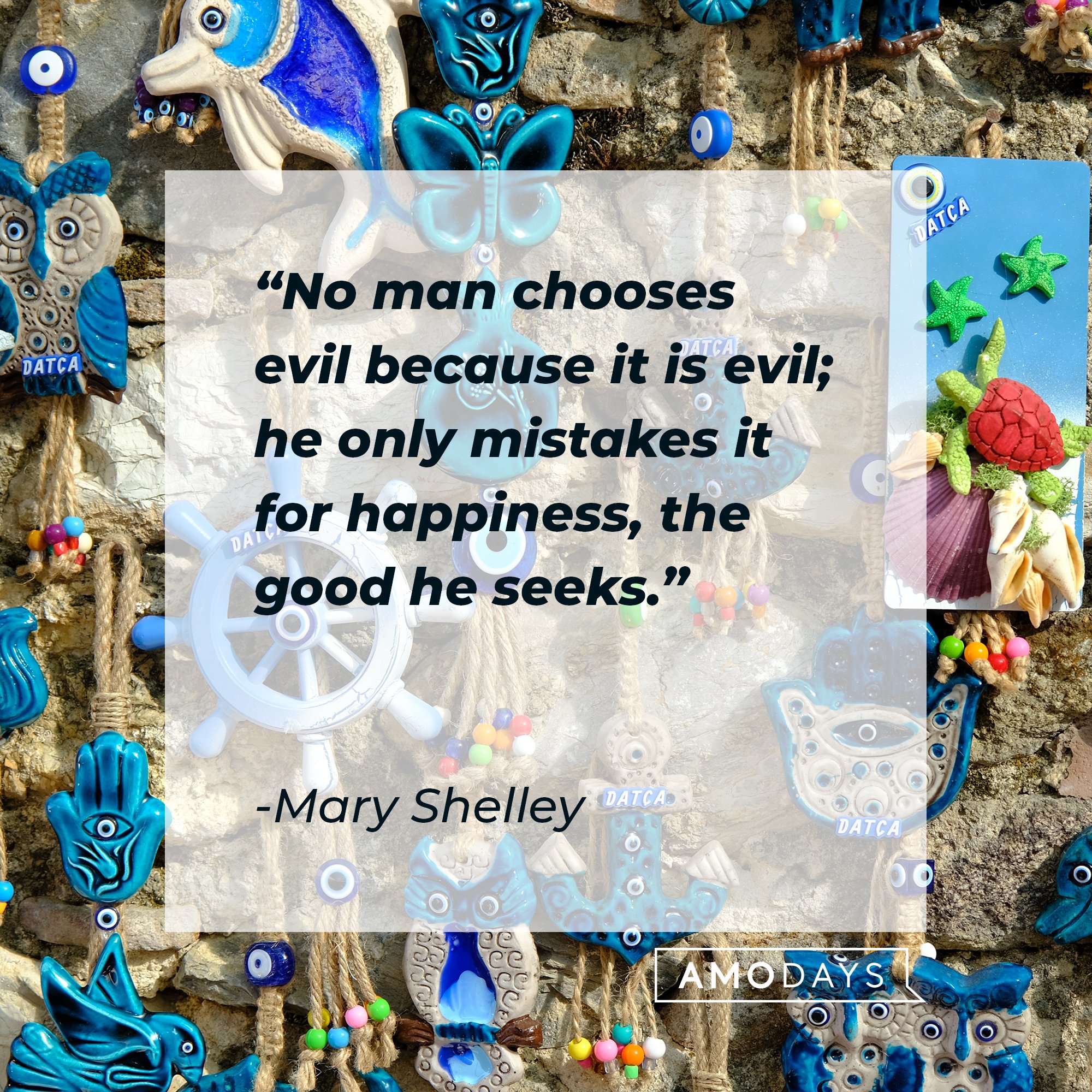 Mary Shelley’s quote: "No man chooses evil because it is evil; he only mistakes it for happiness, the good he seeks." | Image: AmoDays