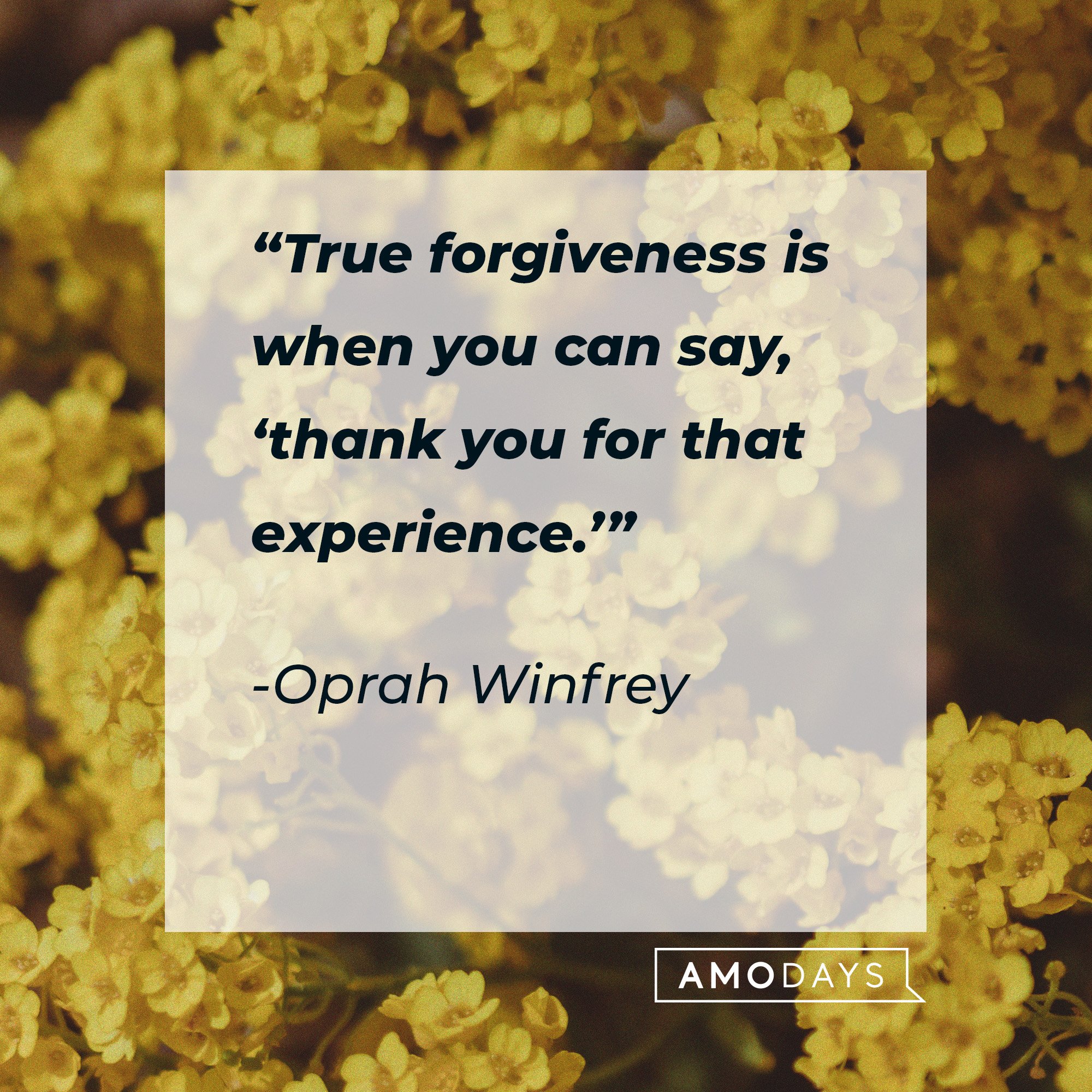 Oprah Winfrey's quote: “True forgiveness is when you can say, ‘thank you for that experience.’” | Image: AmoDays
