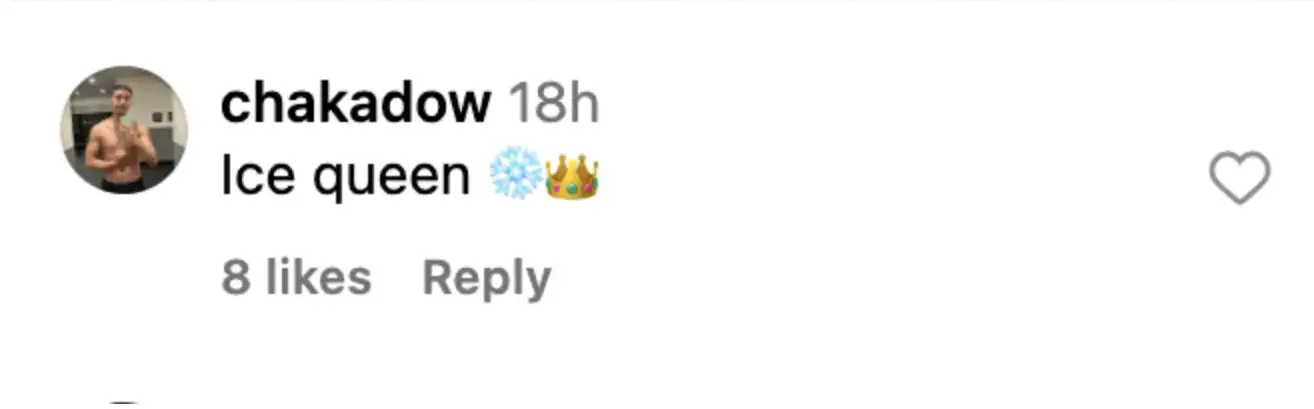 A fan comments on Cher's post | Source: Instagram/cher