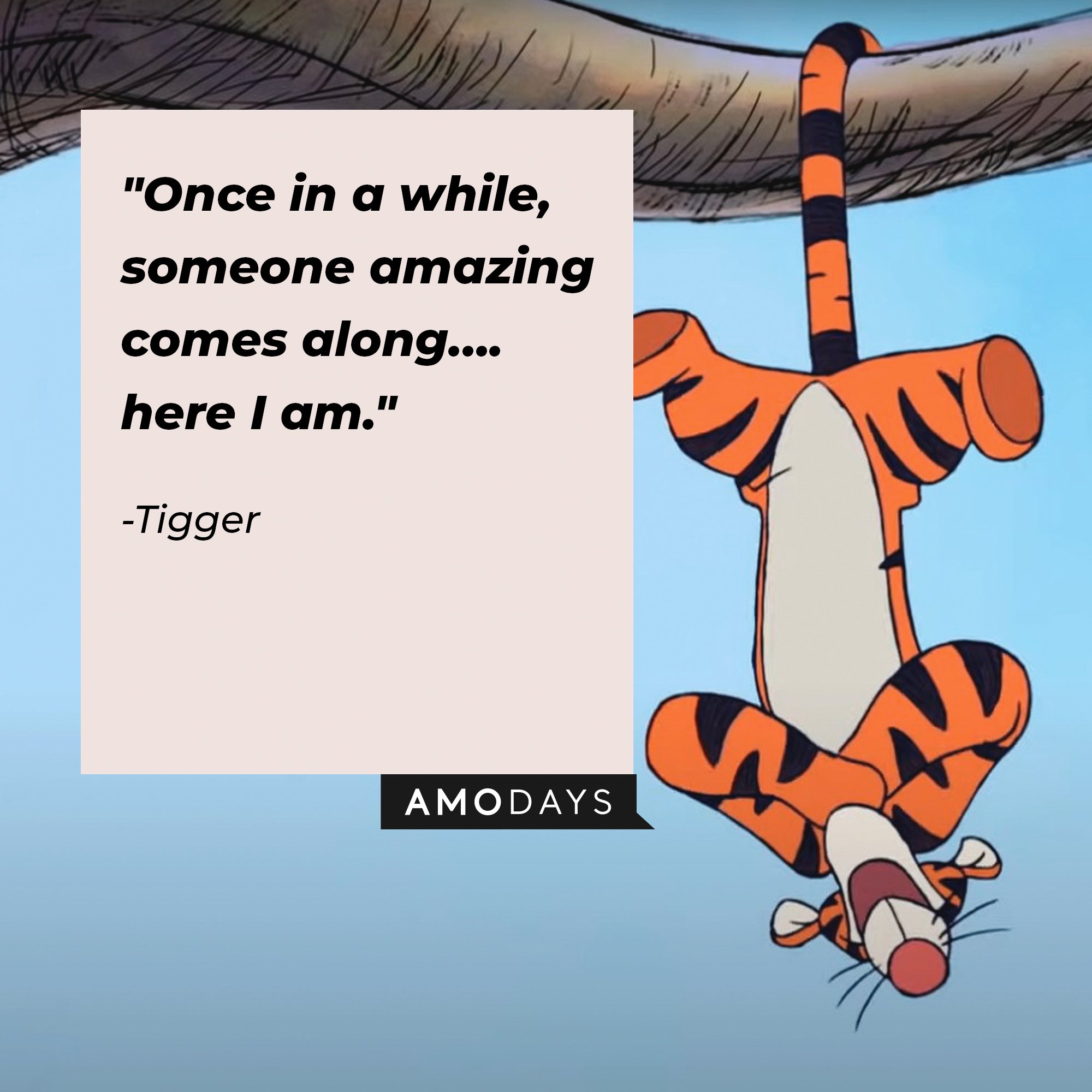 Tigger's quote: "Once in a while, someone amazing comes along….here I am." | Image: AmoDays