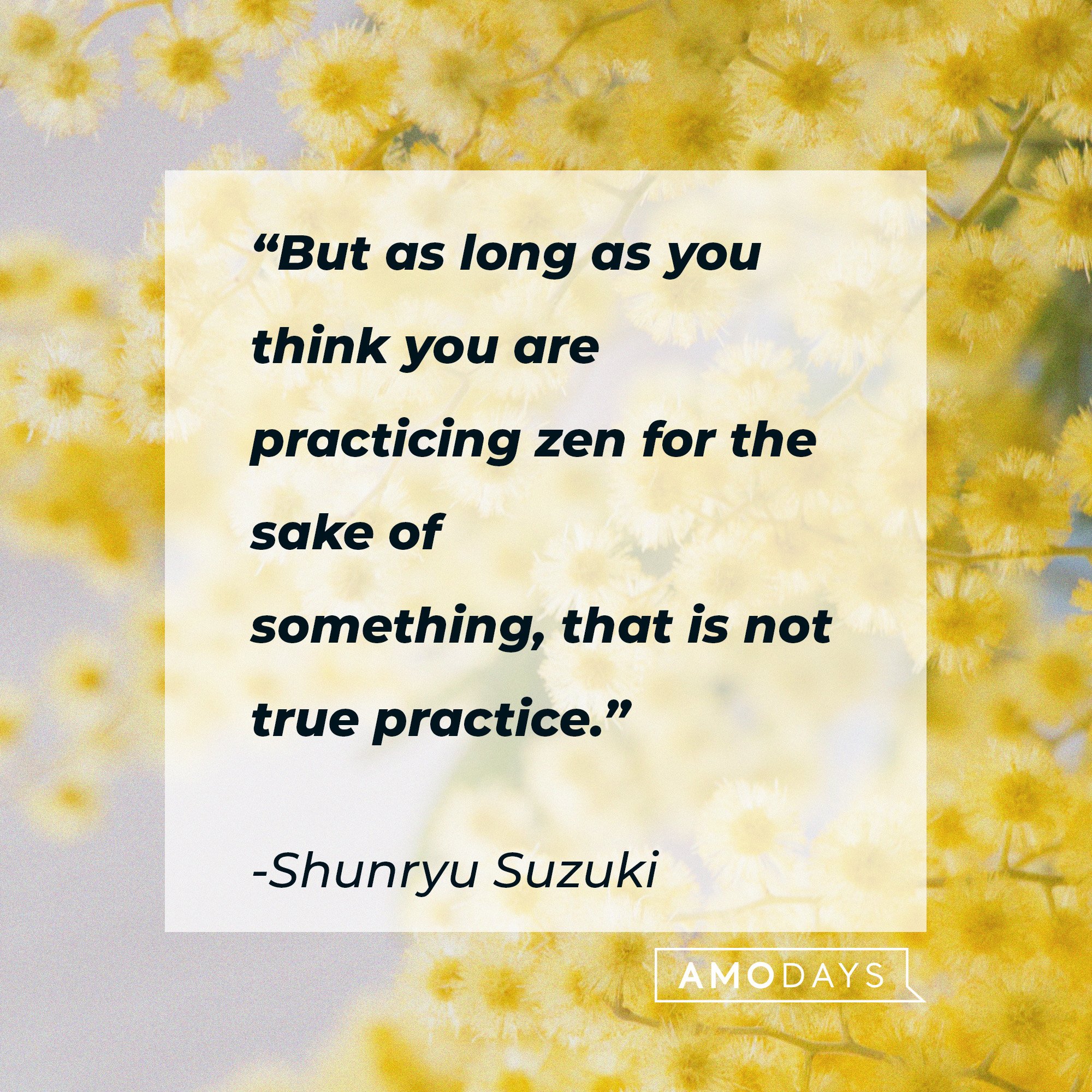 Shunryu Suzuki's quote: “But as long as you think you are practicing zen for the sake of something, that is not true practice.” | Image: AmoDays
